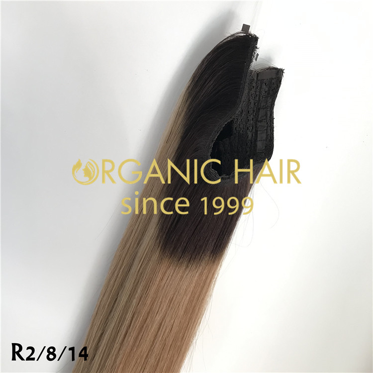 Ombre halo hair extensions H220